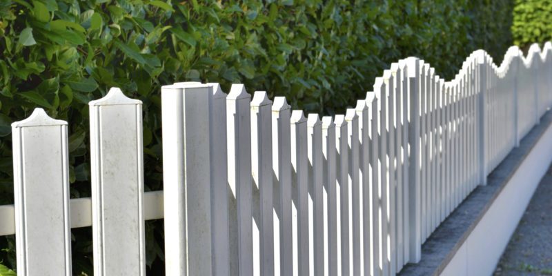 close on white fence along a green hedge of an urban backyard